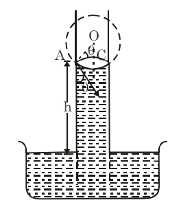 Mechanical Properties of Fluids: Capillarity | Physics for JEE Main & Advanced