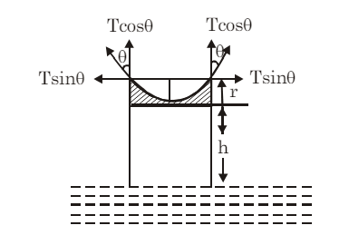 Mechanical Properties of Fluids: Capillarity | Physics for JEE Main & Advanced