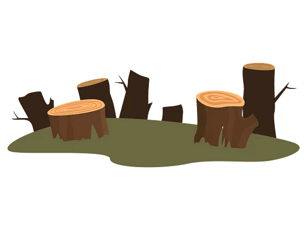 Class 8 Science Conservation of Plants and Animals CBSE Worksheets Class 8 Science Conservation of Plants and Animals CBSE Worksheets