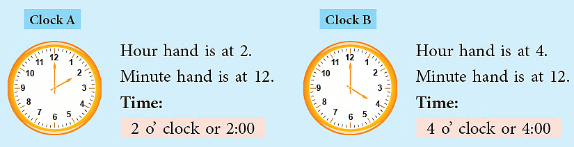 Time Class 2 Notes EVS Free PDF
