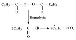 NCERT Solutions Class 11 Chemistry Chapter 9 - Hydrocarbons