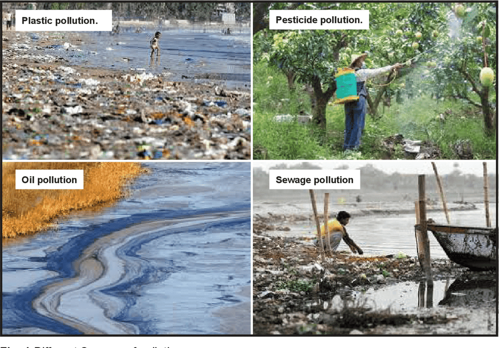 Anthropogenic Activities - People, Development and Environment Notes