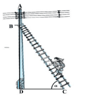 Class 10 Maths Chapter 8 HOTS Questions - Introduction to Trigonometry