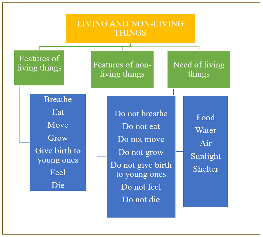 differences-between-living-and-non-living-things-science-class-5-pdf