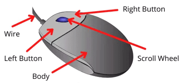 Basic ICT Skills | Artificial Intelligence for Class 10