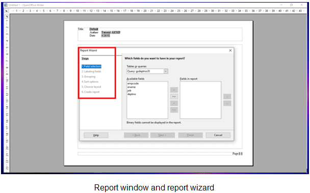 Create forms & Reports using the wizard | Information Technology for Class 10