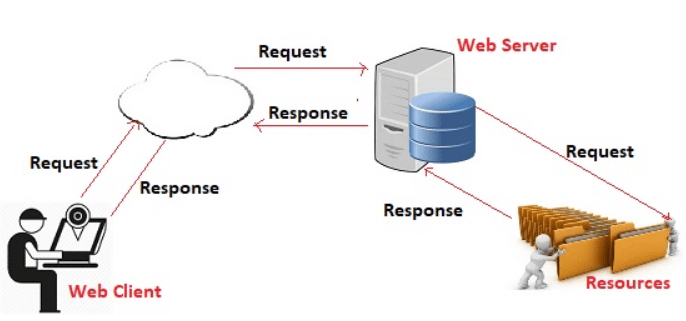 Internet Basics: Chapter Notes - Computer Application: Class 10 PDF ...