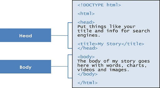 HTML Basics: Revision Notes | Computer Application: Class 10
