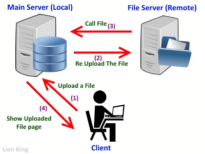 Internet Basics: Detailed Notes - Computer Application: Class 10 PDF ...