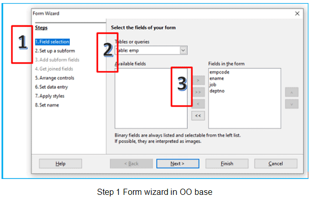 Create forms & Reports using the wizard | Information Technology for Class 10
