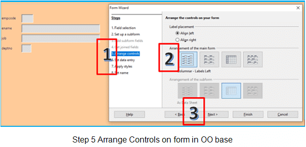 Create forms & Reports using the wizard | Information Technology for Class 10