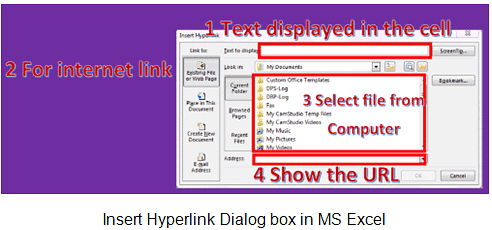 Link Data & Spreadsheets | Information Technology for Class 10
