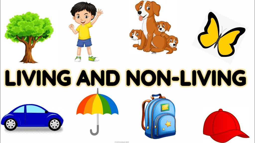 Differences Between Living And Non-living Things Chart