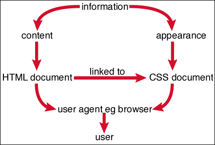 Revision Notes: Forms and CSS - Class 10 PDF Download