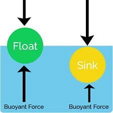 Fig: Buoyant Force