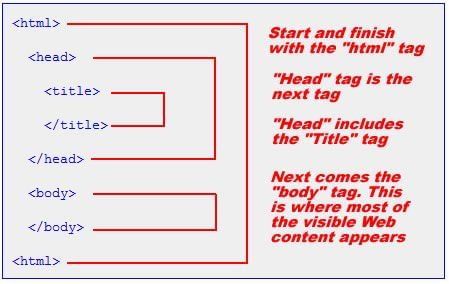 HTML Basics: Chapter Notes - Computer Application: Class 10 PDF Download