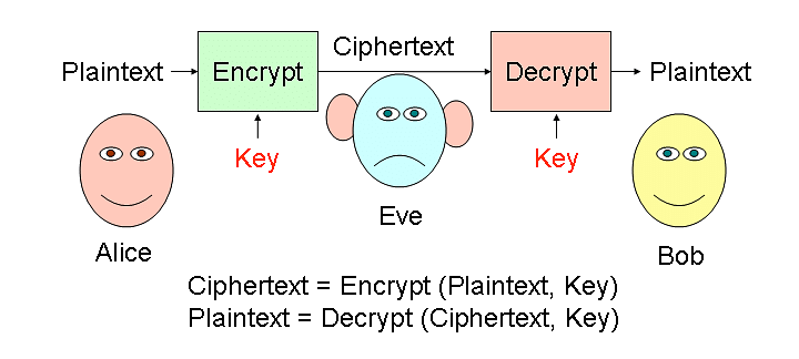 Cyber Ethics: Short Answer Type Questions | Computer Application: Class 10