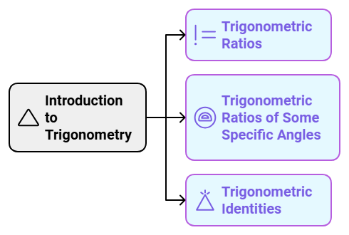 4 Days Timetable: Introduction to Trigonometry | Mathematics (Maths) Class 10