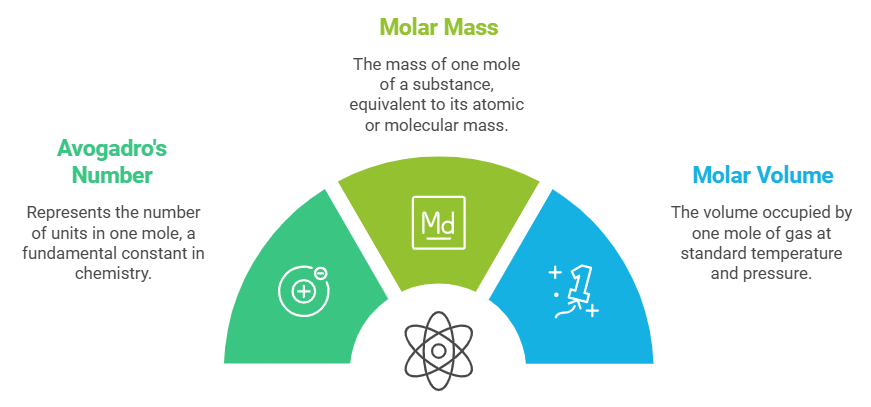 Stoichiometry & Concentration Terms | Chemistry Class 11 - NEET