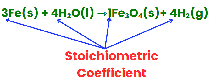 Stoichiometry & Concentration Terms | Chemistry Class 11 - NEET