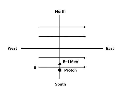 JEE Main Previous Year Questions (2016- 2024): Moving Charges & Magnetism- 1