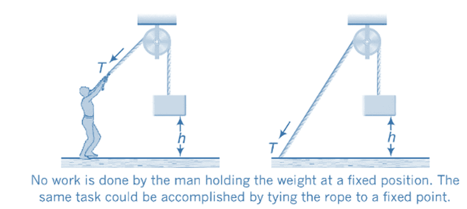 Introduction to Work and Work Energy Theorem | Physics Class 11 - NEET