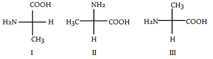 organic-chemistry-questions-answers-enantiomers-q2