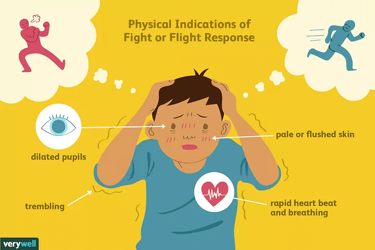 Flight and Fight response - Notes - NEET