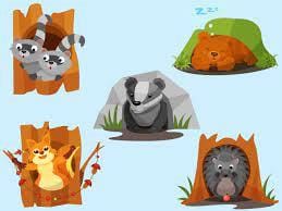 WHAT IS ADAPTATION IN ANIMALS CLASS 6 visual data 5