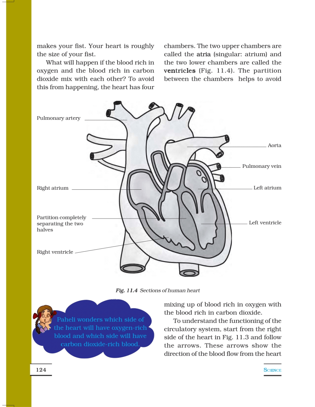Transportation in Animals and Plants - Class 7, Science - Notes - Class 7 Transportation in Animals and Plants - Class 7, Science - Notes - Class 7