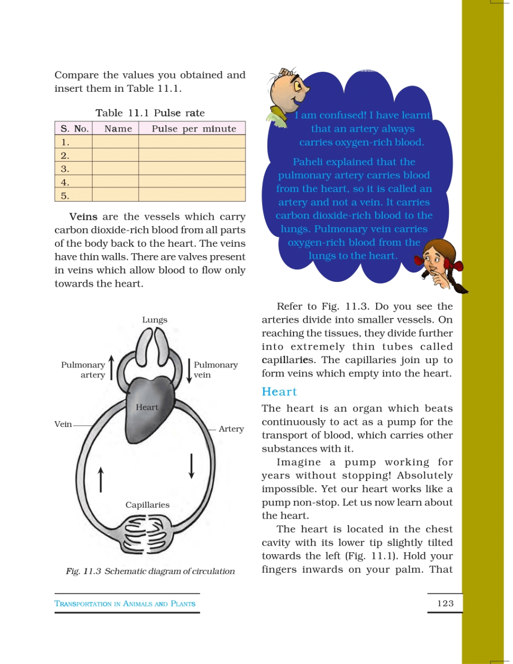 Transportation in Animals and Plants - Class 7, Science - Notes - Class 7 Transportation in Animals and Plants - Class 7, Science - Notes - Class 7