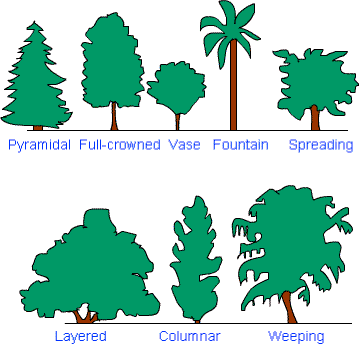 Fig: Types of trees