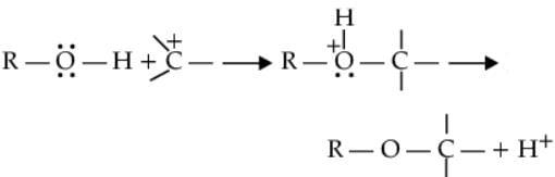 case study questions for alcohols phenols and ethers