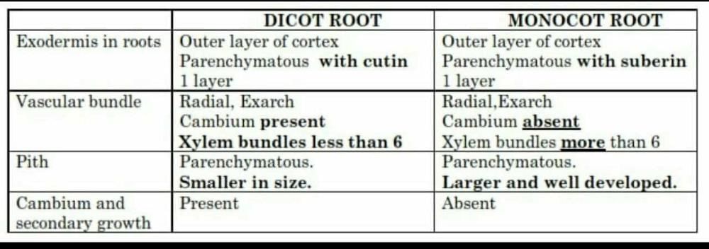 SOLUTION: Differences between dicot and monocot root - Studypool