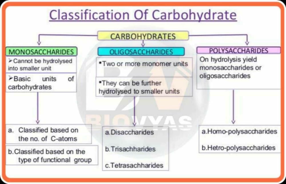 Classification of carbohydrates.don't answer plz? EduRev NEET Question