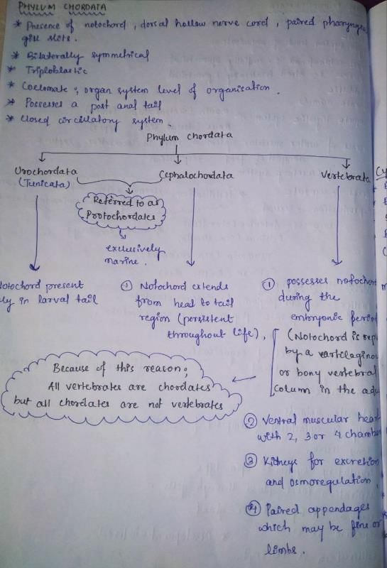 ANIMAL KINGDOM NOTES - MBBS PDF Download