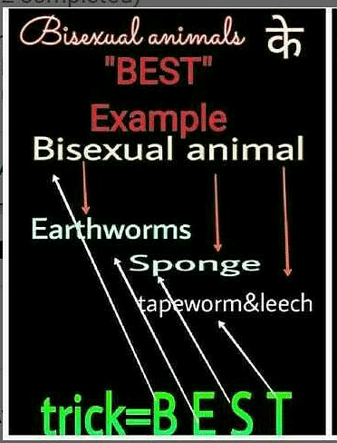 Trick to remember Best NCERT Examples of Bisexual Animals? | EduRev Class  12 Question