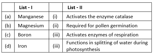 NEET Previous Year Questions (2016-23): Photosynthesis - Biology Class ...