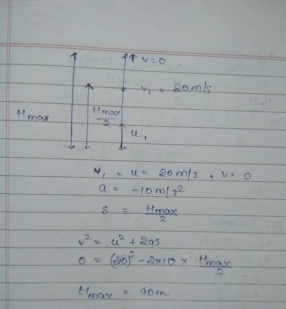 vertically-opposite-angles-examples