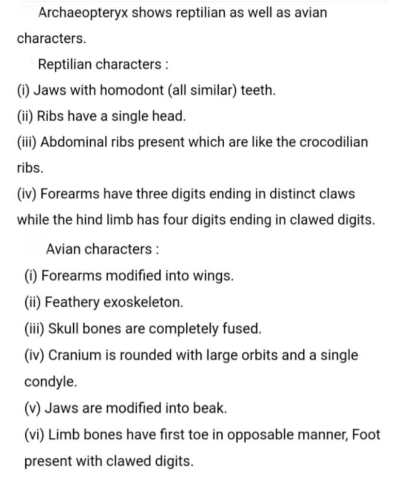 Archaeopteryx is connecting link because [BHU 82]a)It possessed