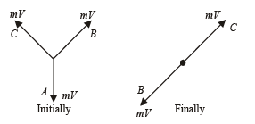 Subjective Type Questions: Momentum and Impulse | JEE Advanced | 35 Years Chapter wise Previous Year Solved Papers for JEE
