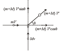 Subjective Type Questions: Momentum and Impulse | JEE Advanced | 35 Years Chapter wise Previous Year Solved Papers for JEE