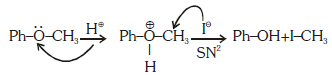 NEET Previous Year Questions (2014-23): Alcohols, Phenols & Ethers | Chemistry Class 12