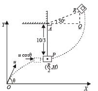 Subjective Type Questions: Momentum and Impulse | JEE Advanced | 35 Years Chapter wise Previous Year Solved Papers for JEE
