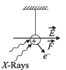 True/False: Electrostatics | JEE Advanced | Physics 35 Years JEE Main & Advanced Past year Papers