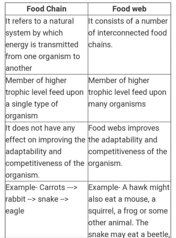 What is the difference between Food Chain and Food Web give easy examples  of both? - EduRev Class 10 Question