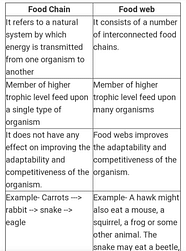 Difference Between Food Chain And Food Web