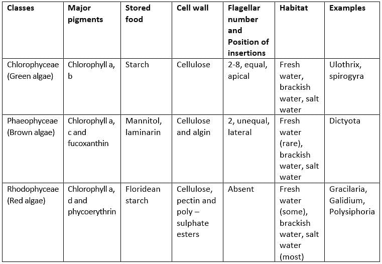 test-algae-ncert-20-questions-mcq-test-biology-class-11-neet