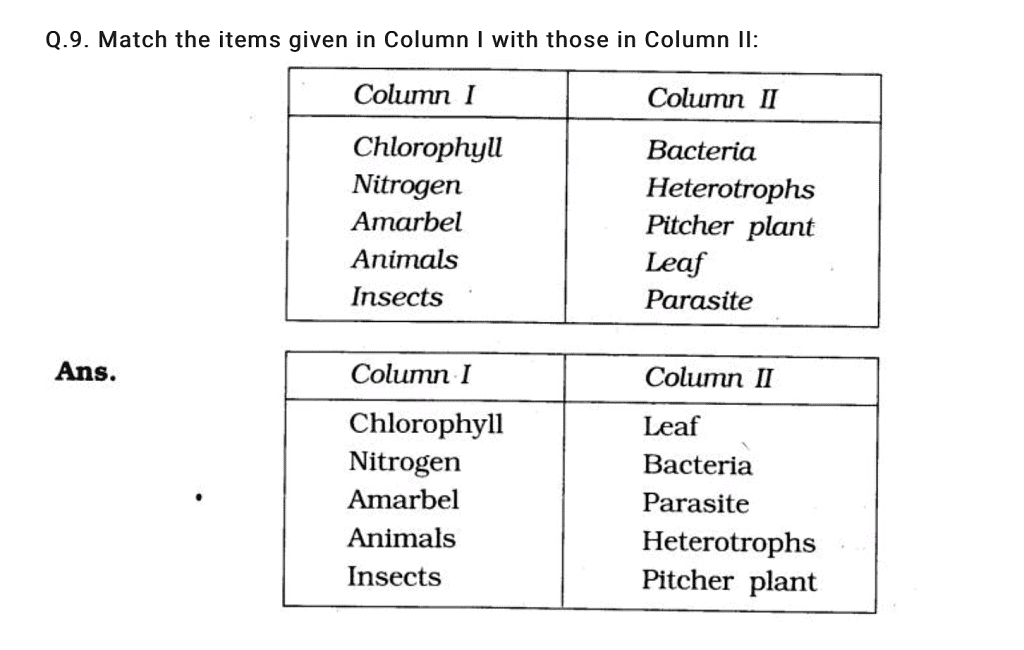 NCERT Solutions +extra questions of ch 1 science (nutrition in plants) class 7 Notes - Class 7
