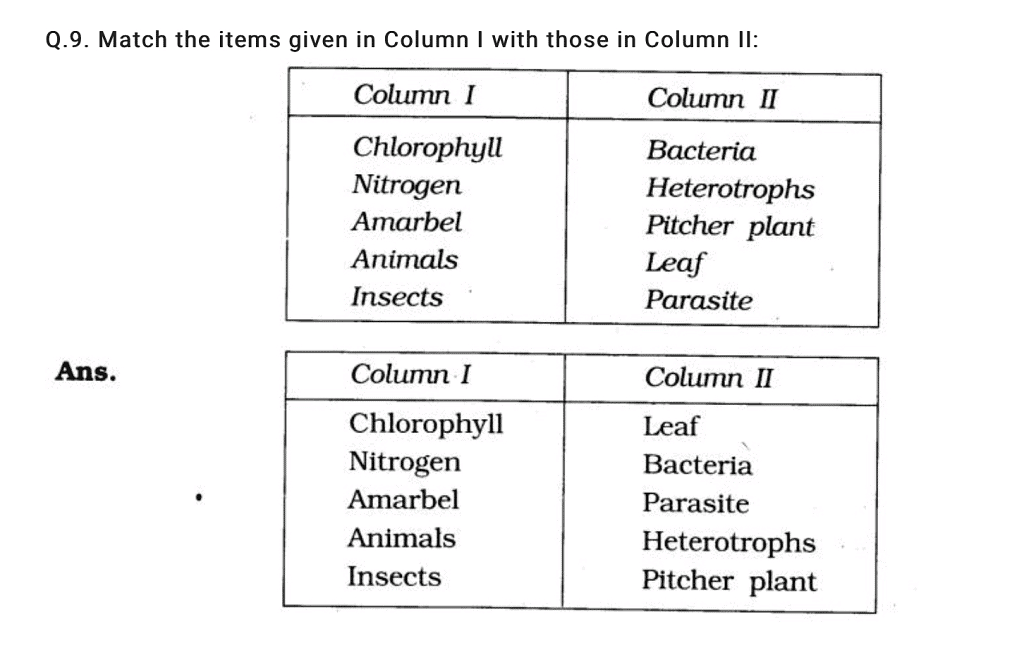 NCERT Solutions +extra questions of ch 1 science (nutrition in plants) class  7 - Notes - Class